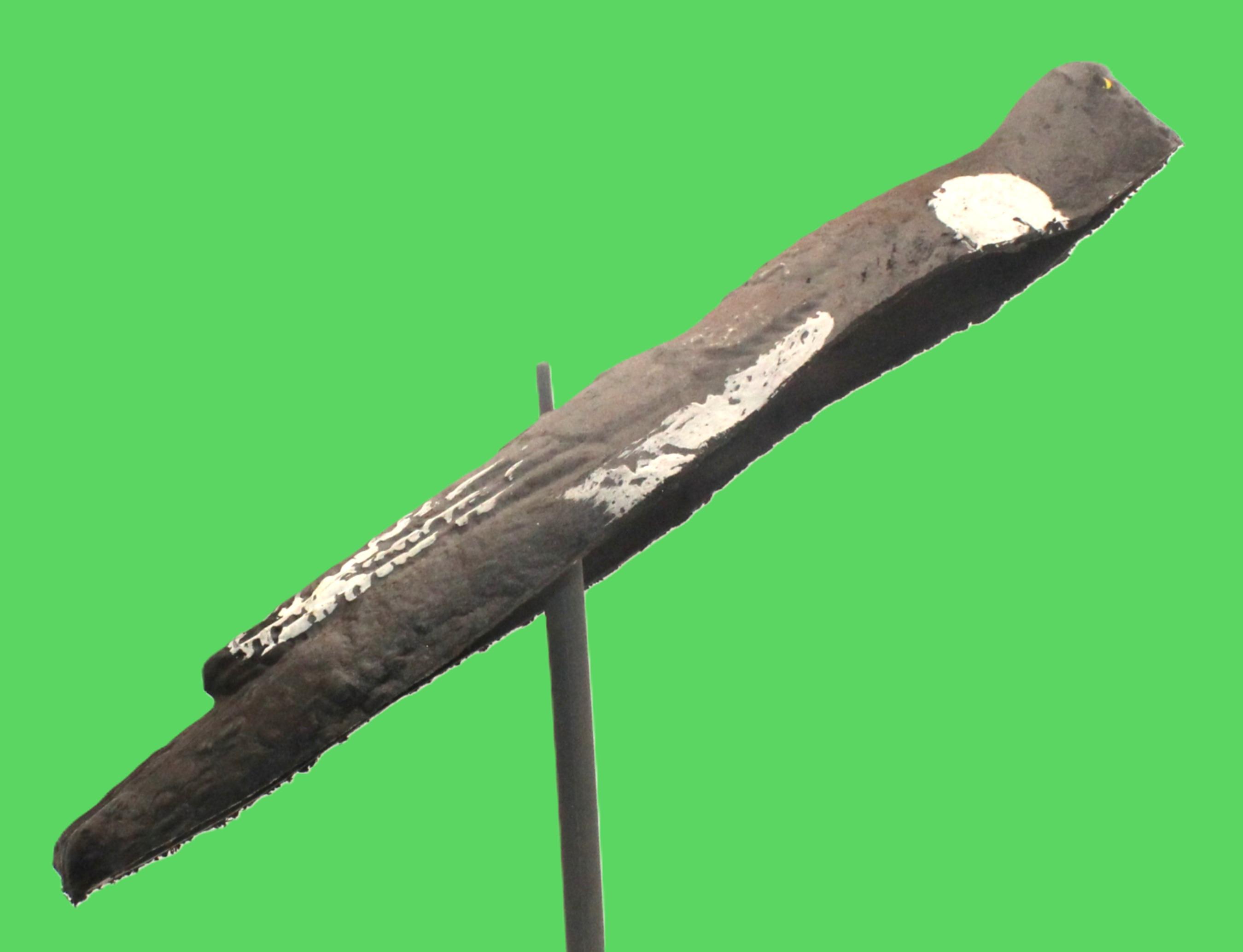 Shell